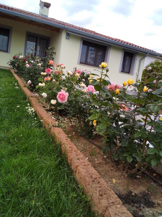 B&B Fili D'Erba Farra d'lsonzo Ngoại thất bức ảnh